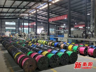 大國(guó)重器中的&ldquo;衡陽制造&rdquo;①|(zhì)恒飛電纜:&ldquo;上天入海&rdquo;彰顯制造實(shí)力