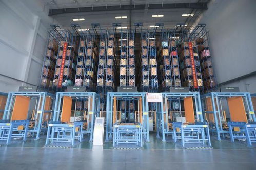 炒貨之都 合肥孕育這家瓜子企業,用數字化控供應鏈 合肥新質觀⑧.視頻